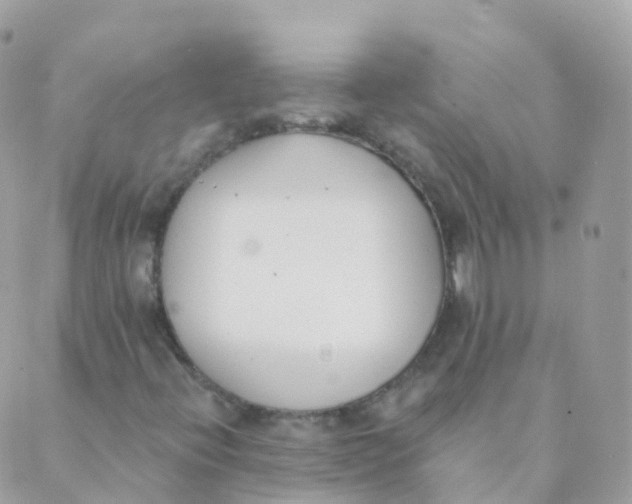 X0000089421396200707061307