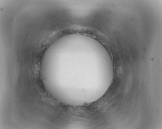 X0000089421397200707061307