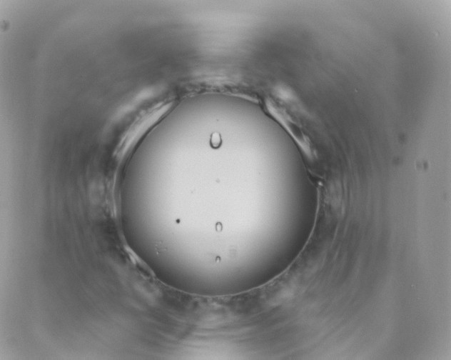 X0000089421398200707061307