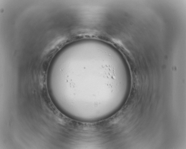 X0000089421399200707061307