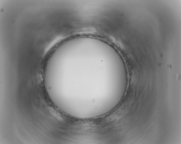 X0000089421400200707061307