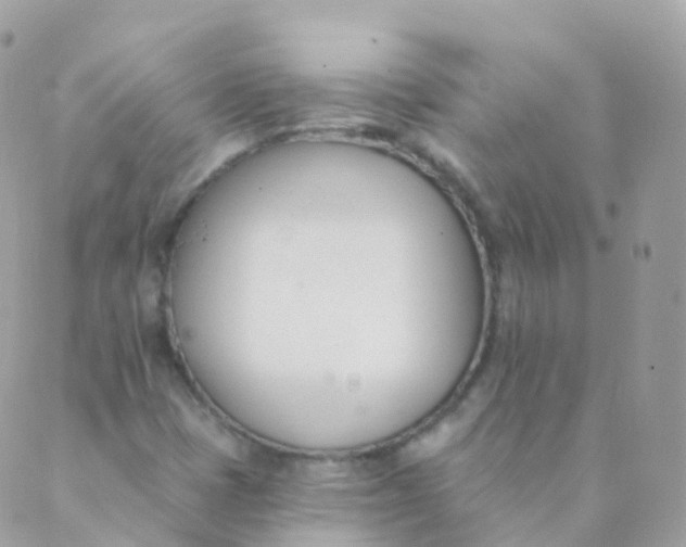 X0000089421401200707061307