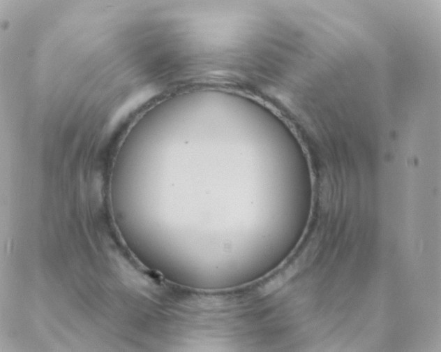 X0000089421402200707061307