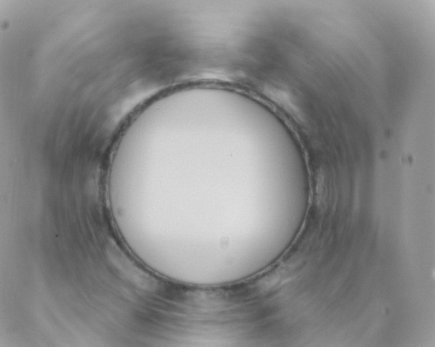 X0000089421404200707061307