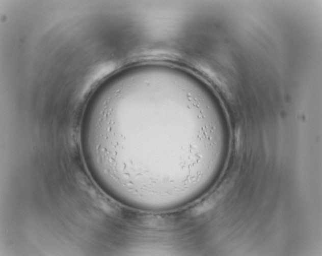 X0000089421405200707061307