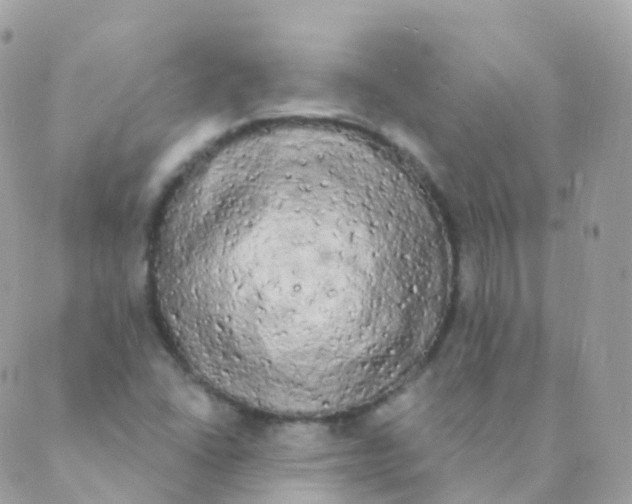 X0000089421406200707061307