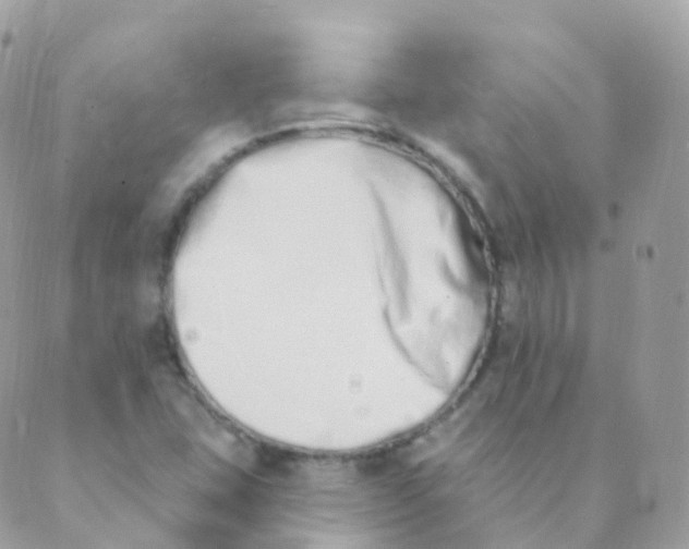 X0000089421407200707061307