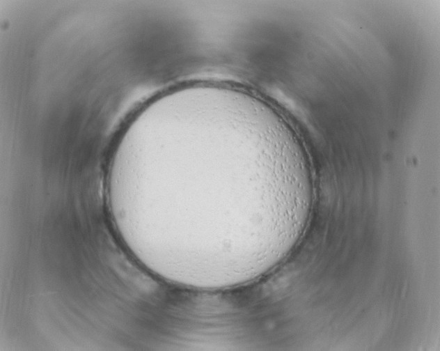 X0000089421408200707061307