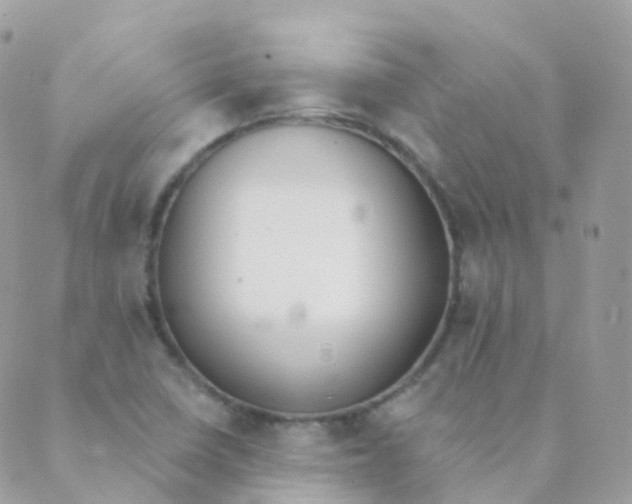 X0000089421410200707061307