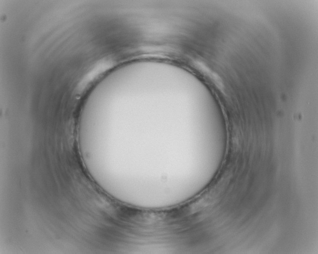 X0000089421411200707061307