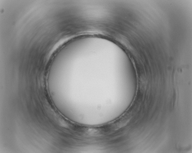 X0000089421412200707061307