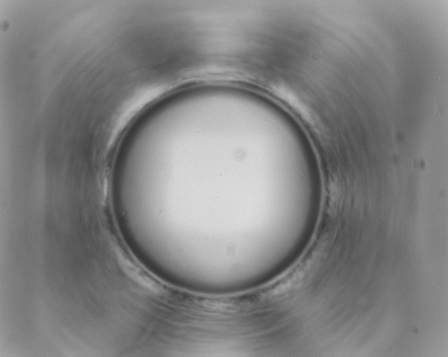 X0000089421413200707061307