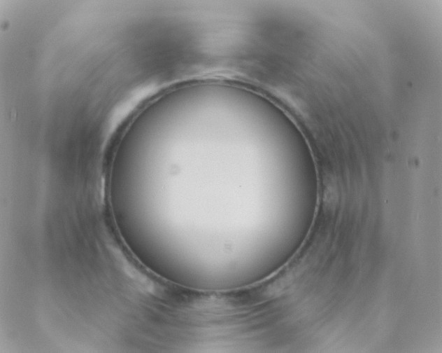 X0000089421414200707061307