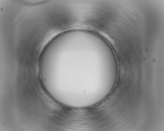 X0000089421415200707061307