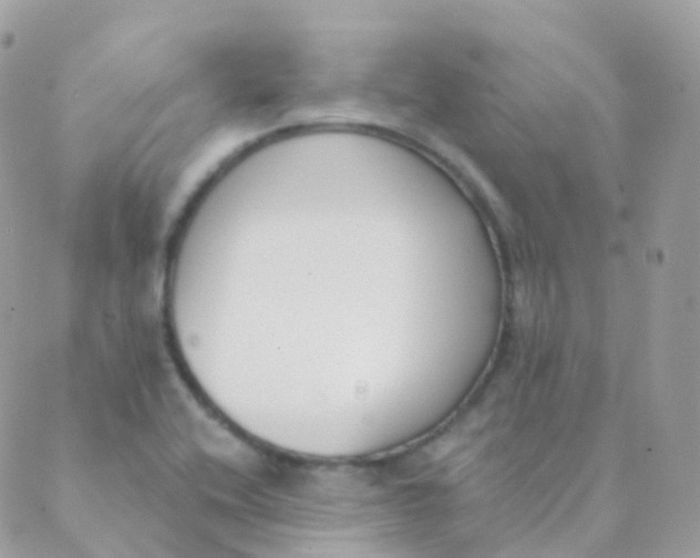 X0000089421416200707061307