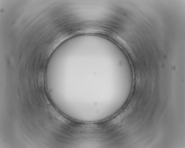 X0000089421417200707061307