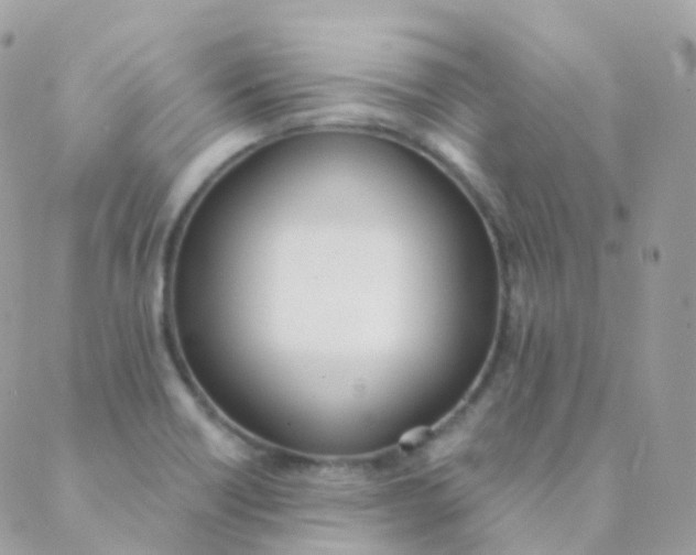 X0000089421418200707061307