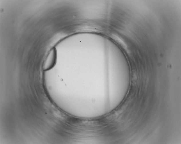 X0000089421419200707061307