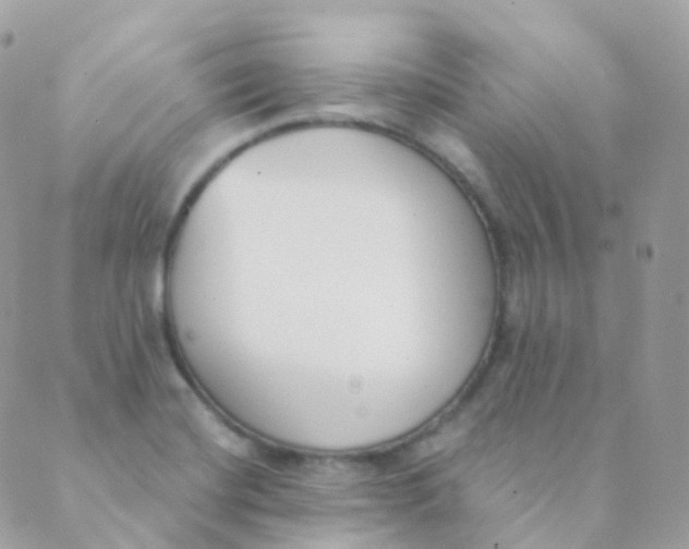 X0000089421420200707061307