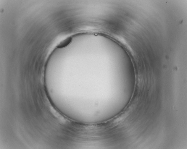 X0000089421421200707061307