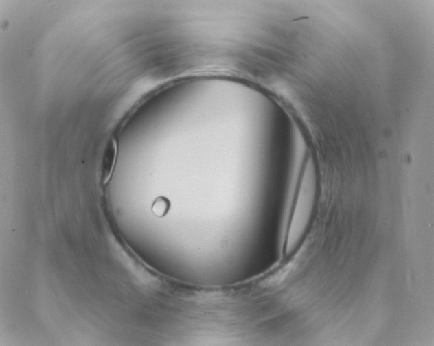 X0000089421422200707061307