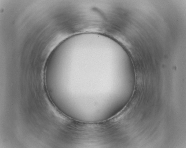 X0000089421423200707061307