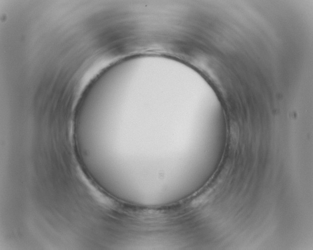 X0000089421424200707061307