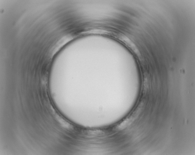 X0000089421425200707061307