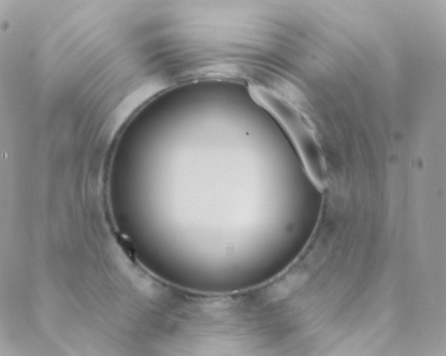 X0000089421426200707061307