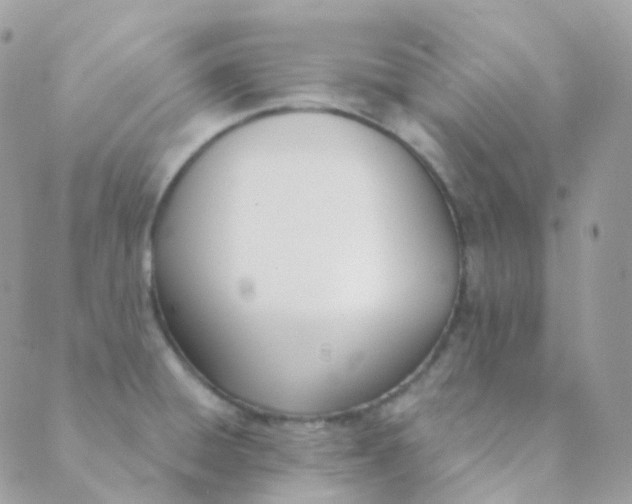 X0000089421428200707061308