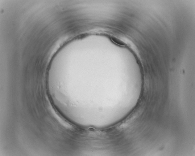 X0000089421429200707061308