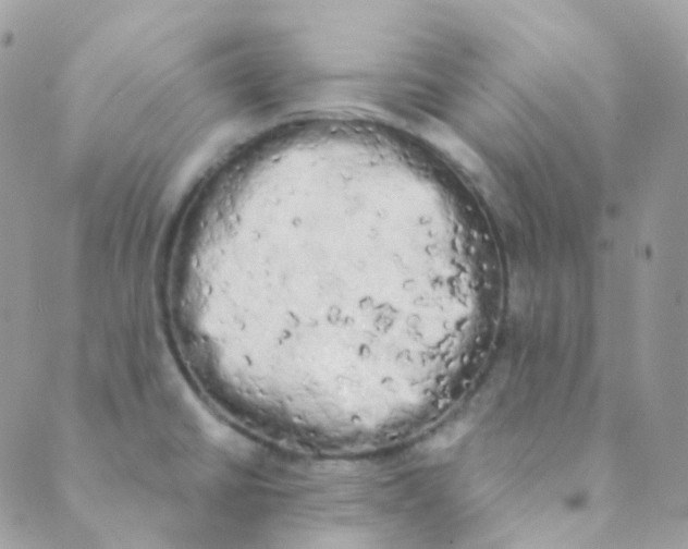 X0000089421430200707061308