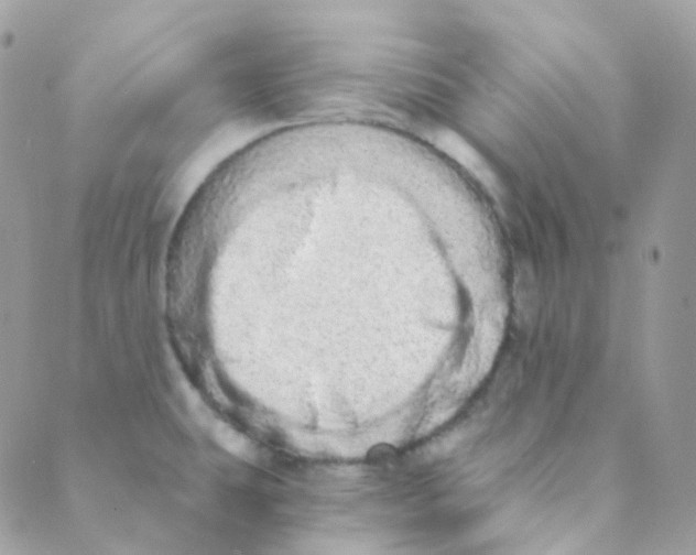 X0000089421431200707061308