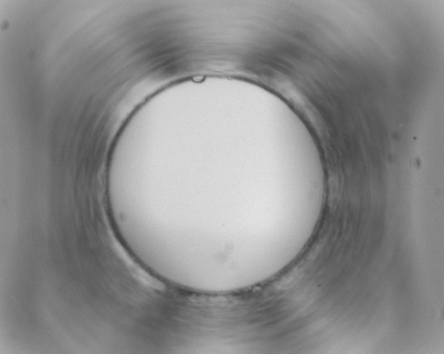 X0000089421432200707061308