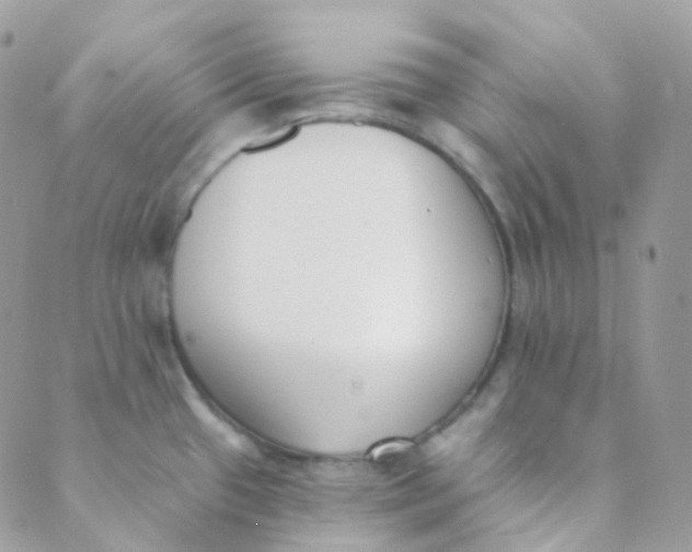 X0000089421433200707061308