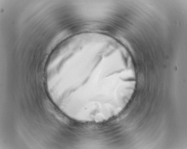 X0000089421435200707061308