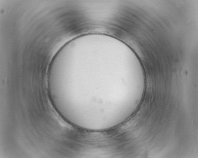 X0000089421436200707061308