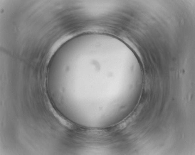 X0000089421437200707061308