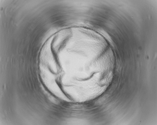 X0000089421439200707061308