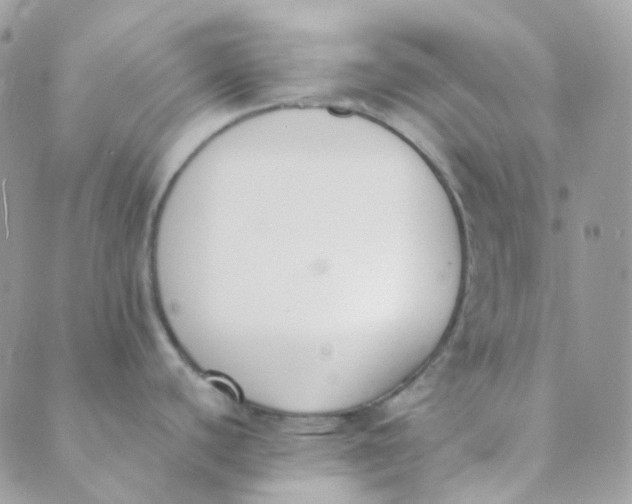 X0000089421440200707061308