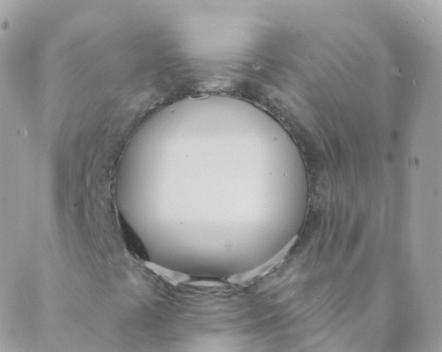 X0000089421441200707061307