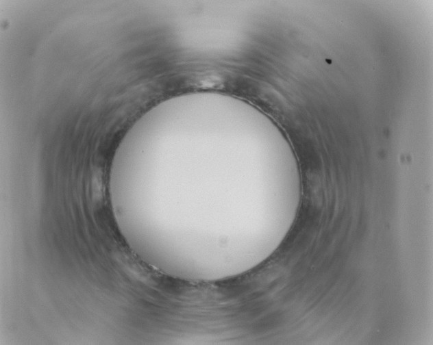 X0000089421442200707061307