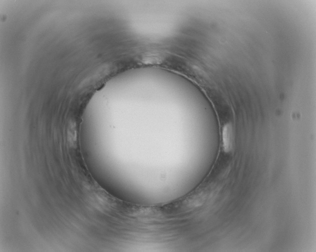 X0000089421443200707061307