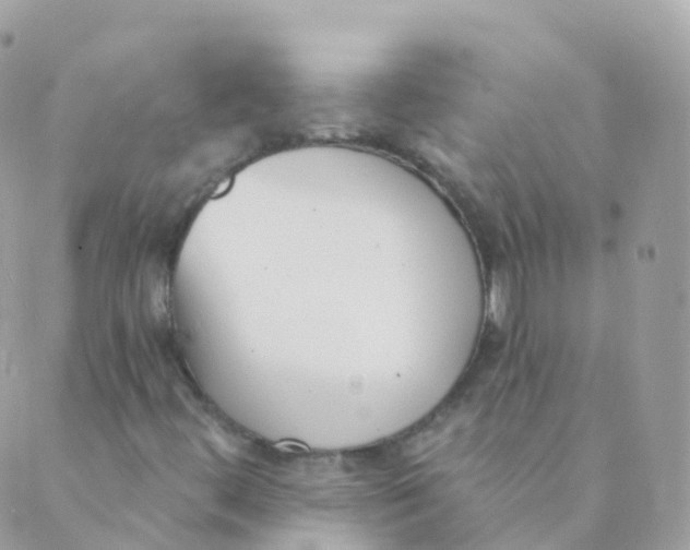 X0000089421444200707061307