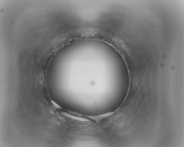 X0000089421445200707061307