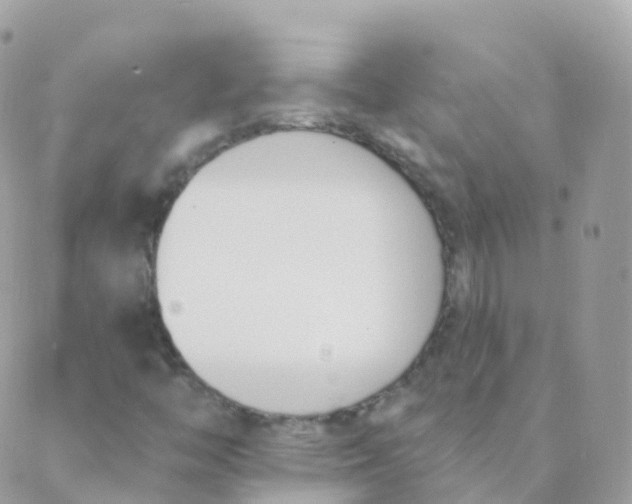 X0000089421446200707061307