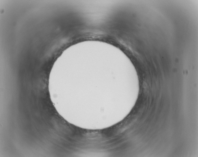 X0000089421447200707061307