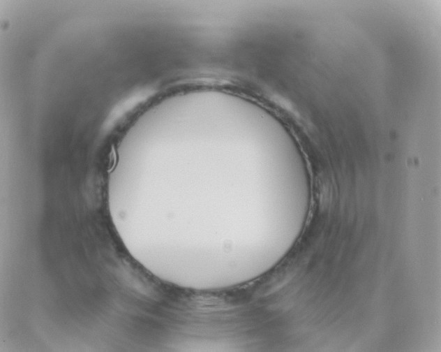 X0000089421448200707061307