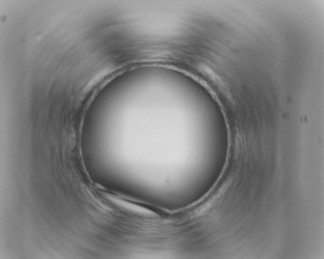 X0000089421449200707061307