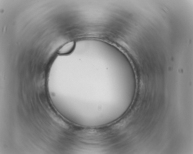 X0000089421450200707061307